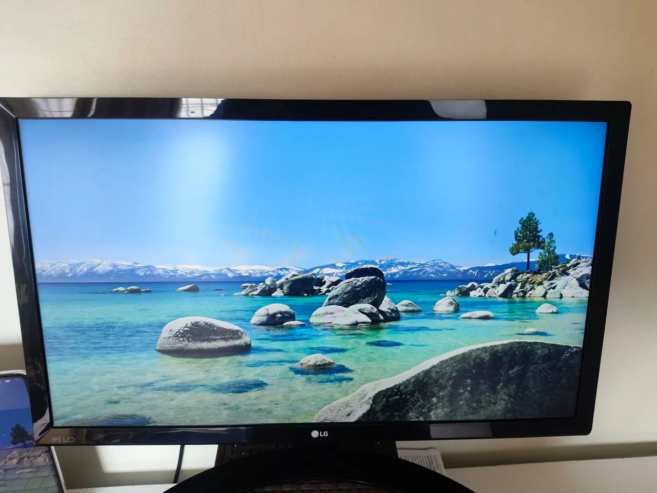 Monitor LED IPS 22 LG