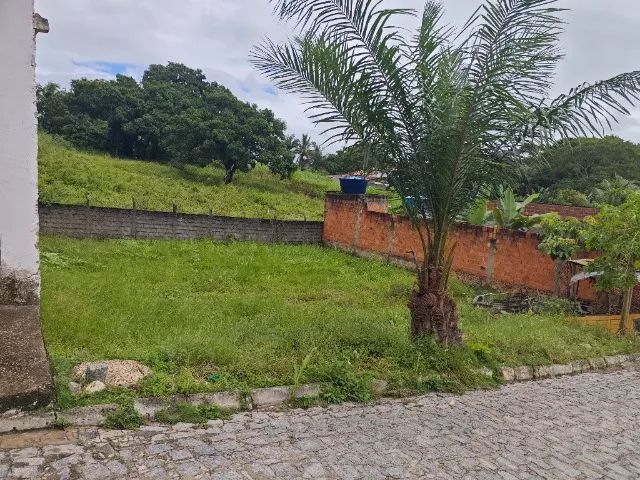 Terrenos 6x20m em boca da mata - Foto 3