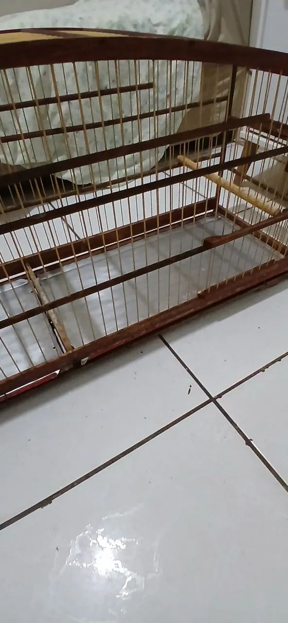 Gaiola Voador malha larga  - Foto 3