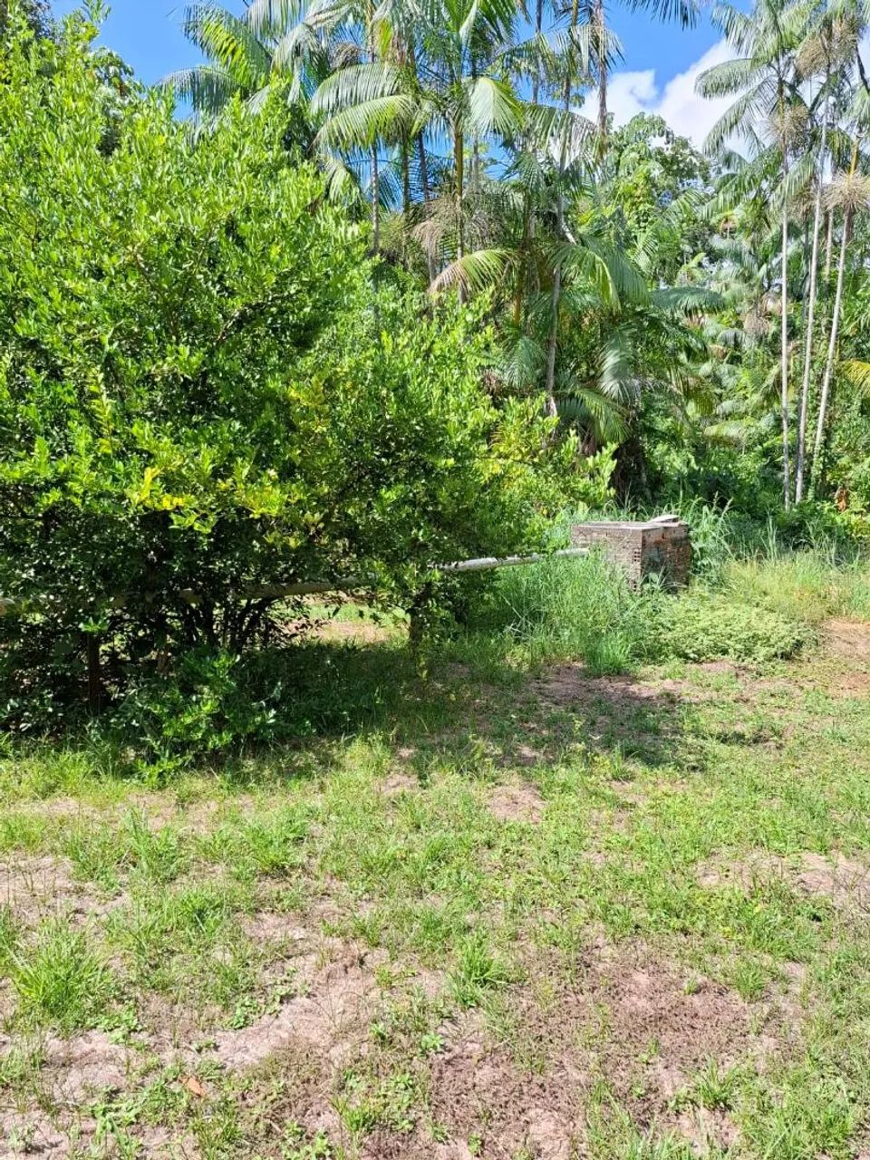 Terrenos a partir de 35mil no matapi mirim - Foto 4