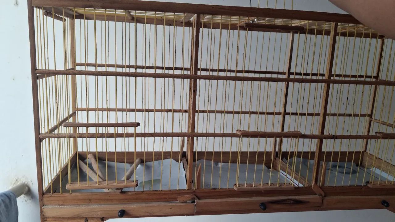 Gaiola - Foto 2