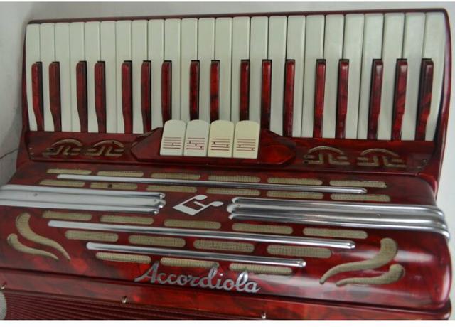 Acordeon Sanfona Accordiola 120 baixos