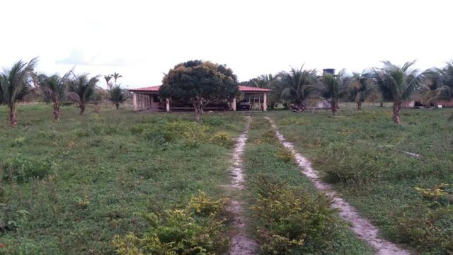 Fazenda montada em Itapecuru-Ma, 200 hectares,margeada pelo Rio Itapecuru! - Foto 10