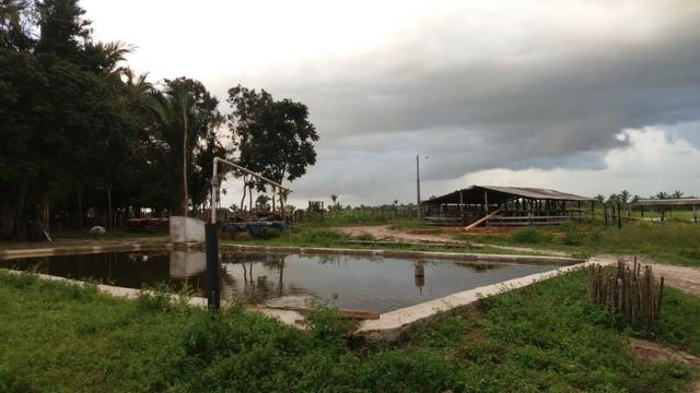 Fazenda montada em Itapecuru-Ma, 200 hectares,margeada pelo Rio Itapecuru! - Foto 15