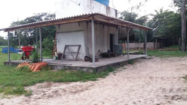 Fazenda montada em Itapecuru-Ma, 200 hectares,margeada pelo Rio Itapecuru! - Foto 14