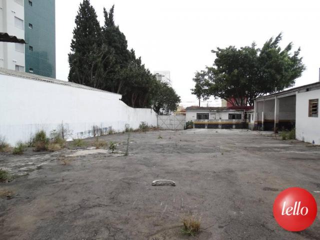 Terreno para alugar em Santa paula, São caetano do sul cod:186432