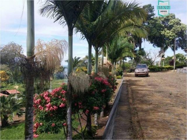 Aiquara . Ótima fazenda produtora de cacau - Foto 6