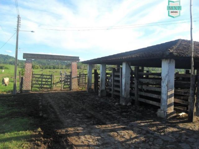 Fazenda em Ubaitaba de 430 Hectares, para gado e cacau. Próximo a Gongogi - Foto 11