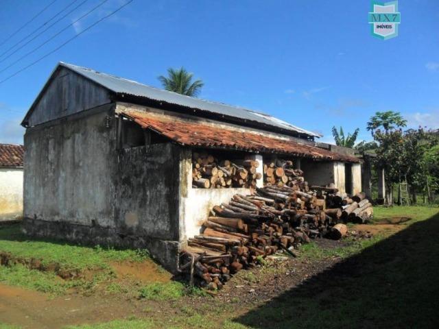Fazenda Itamaraty com 300 Hectares, potencial para 300 gados, 70 hectares de cacau - Foto 5