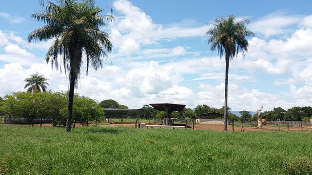 Fazenda Completa Para Gado, Formosa-Go (Oportunidade) - Foto 14