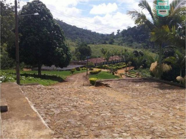Aiquara . Ótima fazenda produtora de cacau - Foto 12