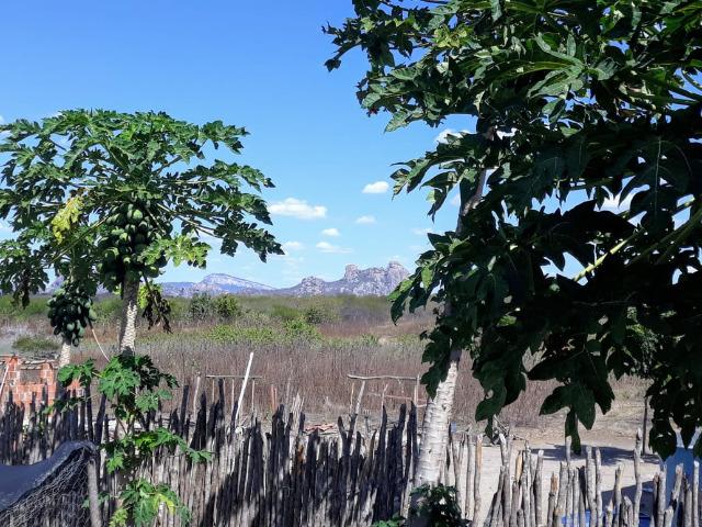 Sitio a venda em Quixadá - Foto 6