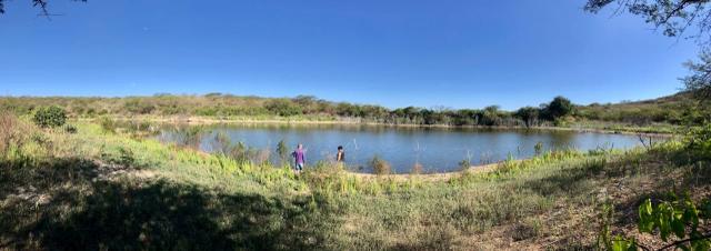 Sitio a venda em Quixadá - Foto 10