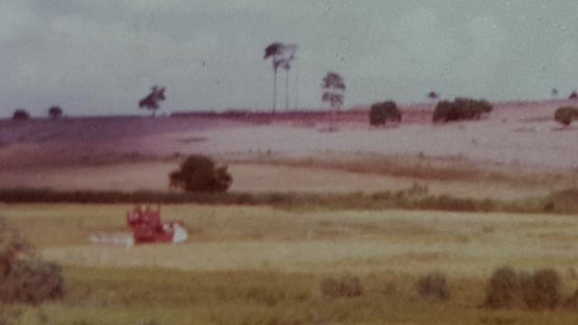 Terra rocha boa p/plantios agricola e criame de peixe etc - Foto 16