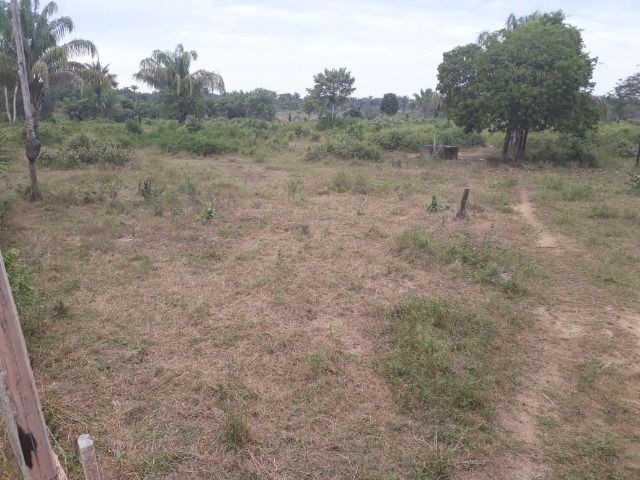 Chácaras Janauary - Foto 6