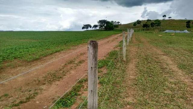 60 Alq. Troca Por Faz. Tocantins Mato Grosso Ou Goias + Acima 400 Alq - Foto 4