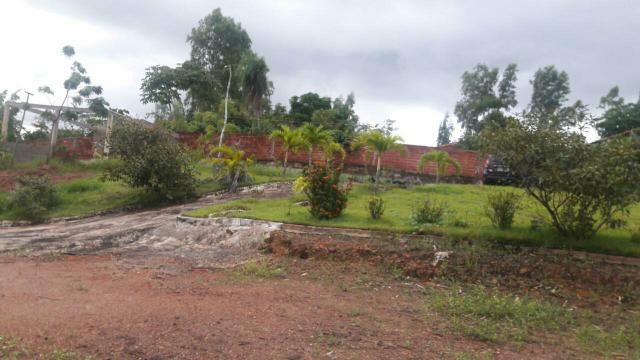 Sitio na zona Rural de sao luis - Foto 3