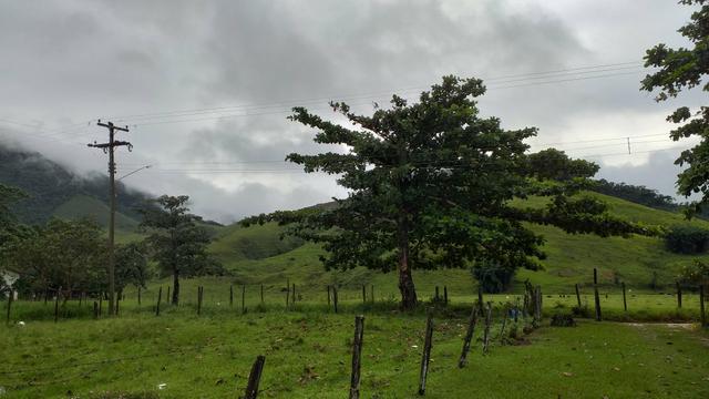 Terreno c água corrente bicuda grande - Foto 4