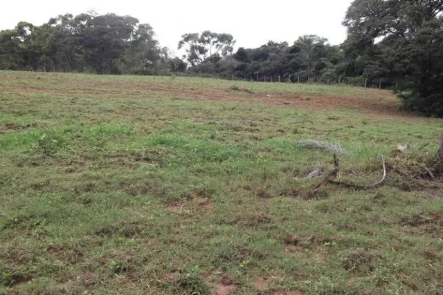 Fazendinha de 5 ha, casa simples e piscina em Jaboticatubas!