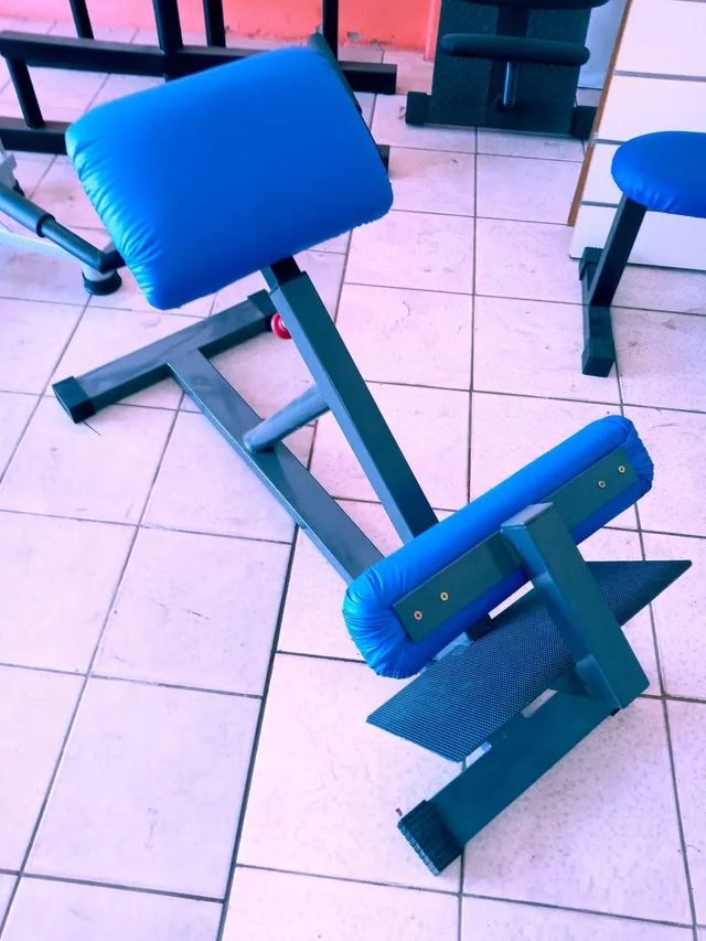 Extensão lombar profissional