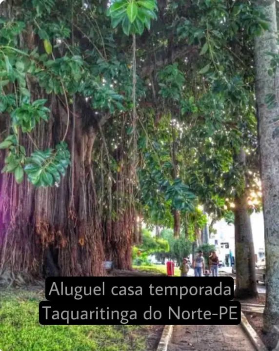 Temporada Casa Mobiliada em Taquaritinga do Norte-PE - Foto 5