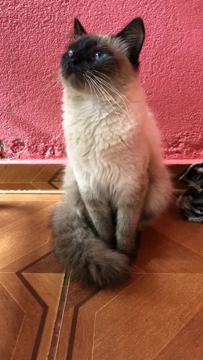 Doação responsável 