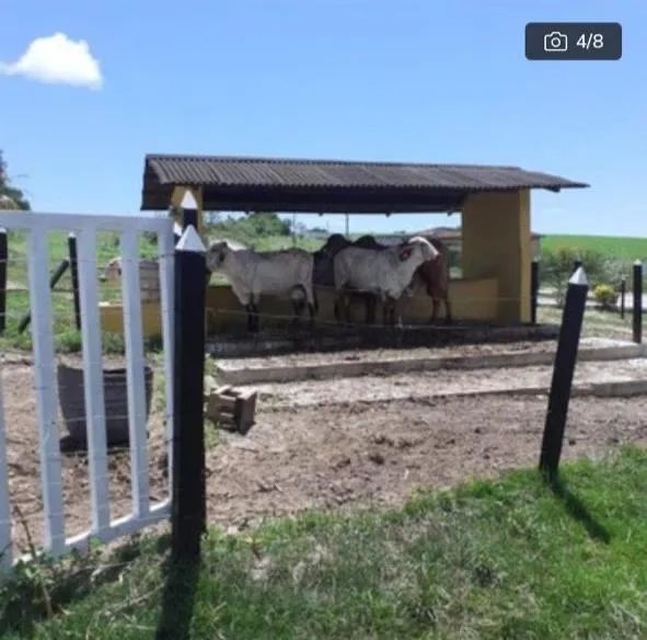 Condomínio fechado Maanain - Foto 2