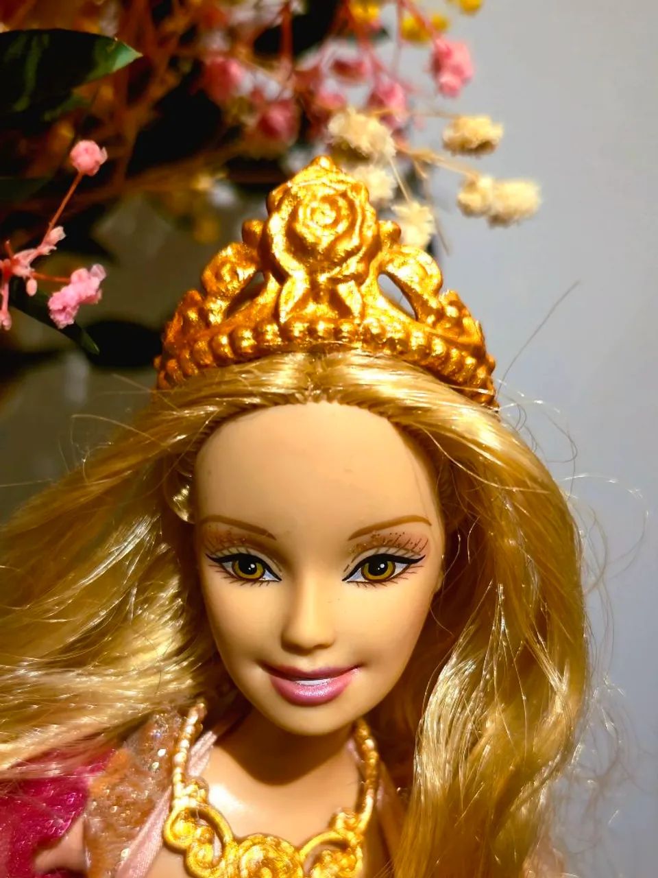 Barbie E As Doze Princesas Bailarinas As Doze Princesas Bailarinas