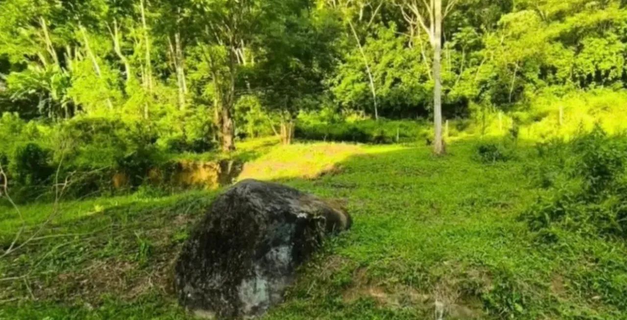 Foto - Rio Bonito - 