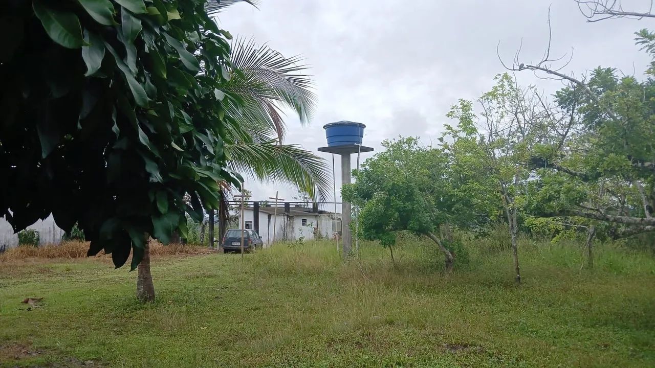 Vende-se Fazenda em Ilhéus-Ba  - Foto 4