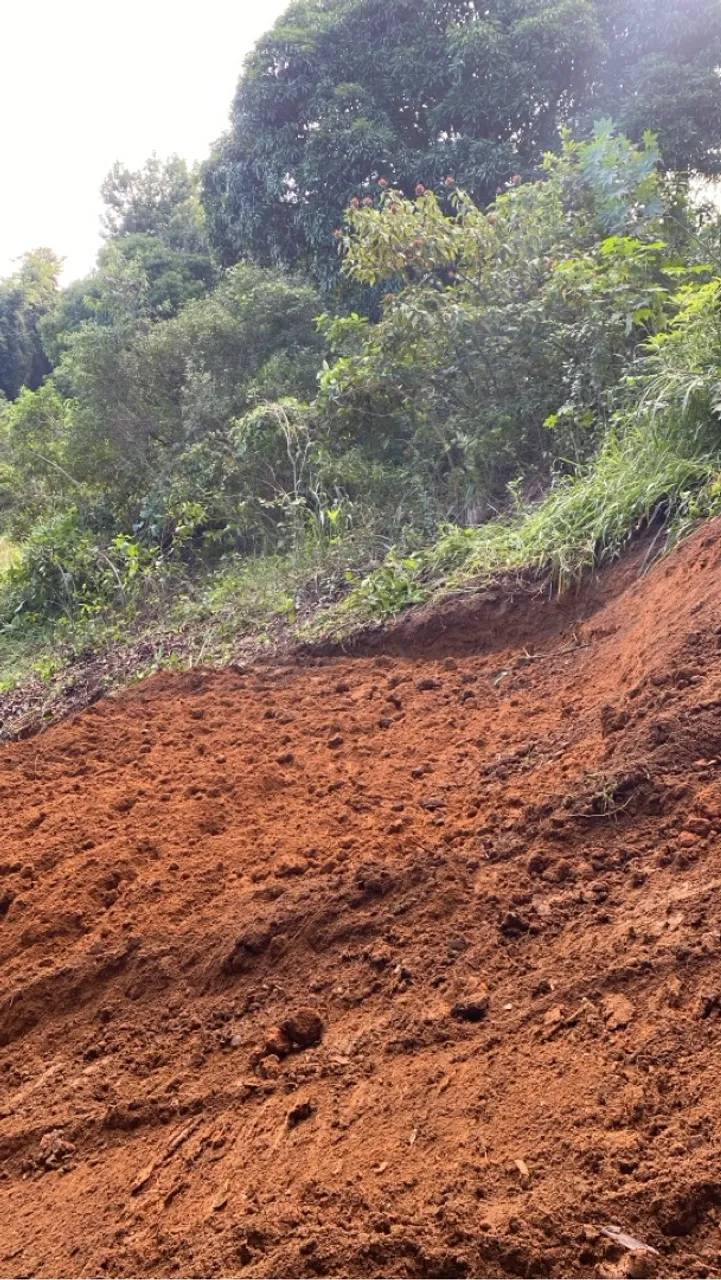 Terreno