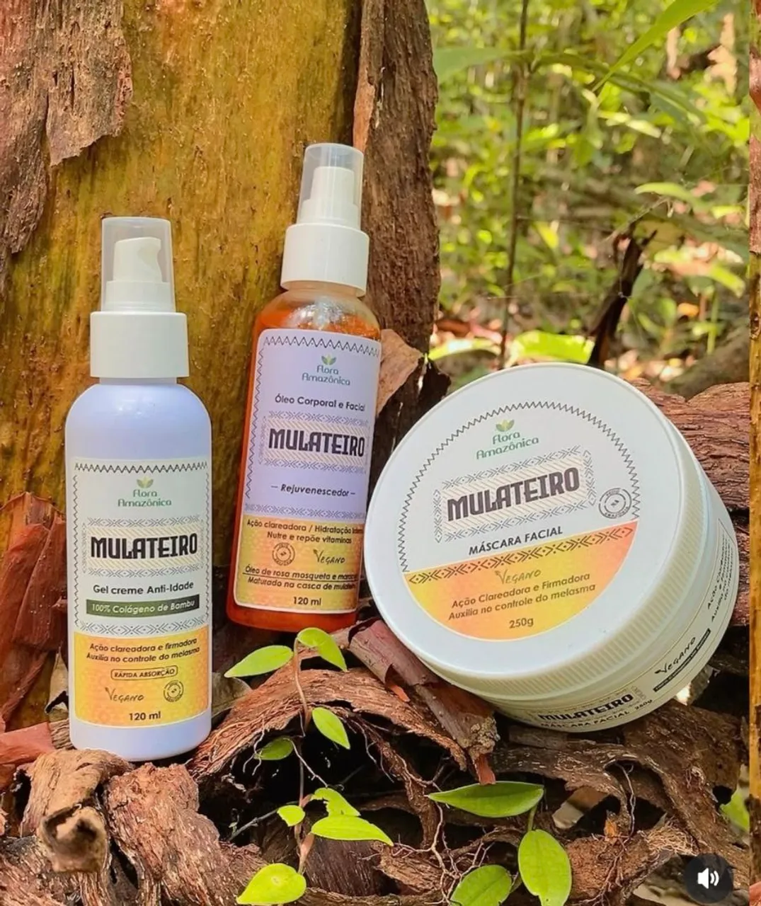 Produtos Naturais da Amazônia
