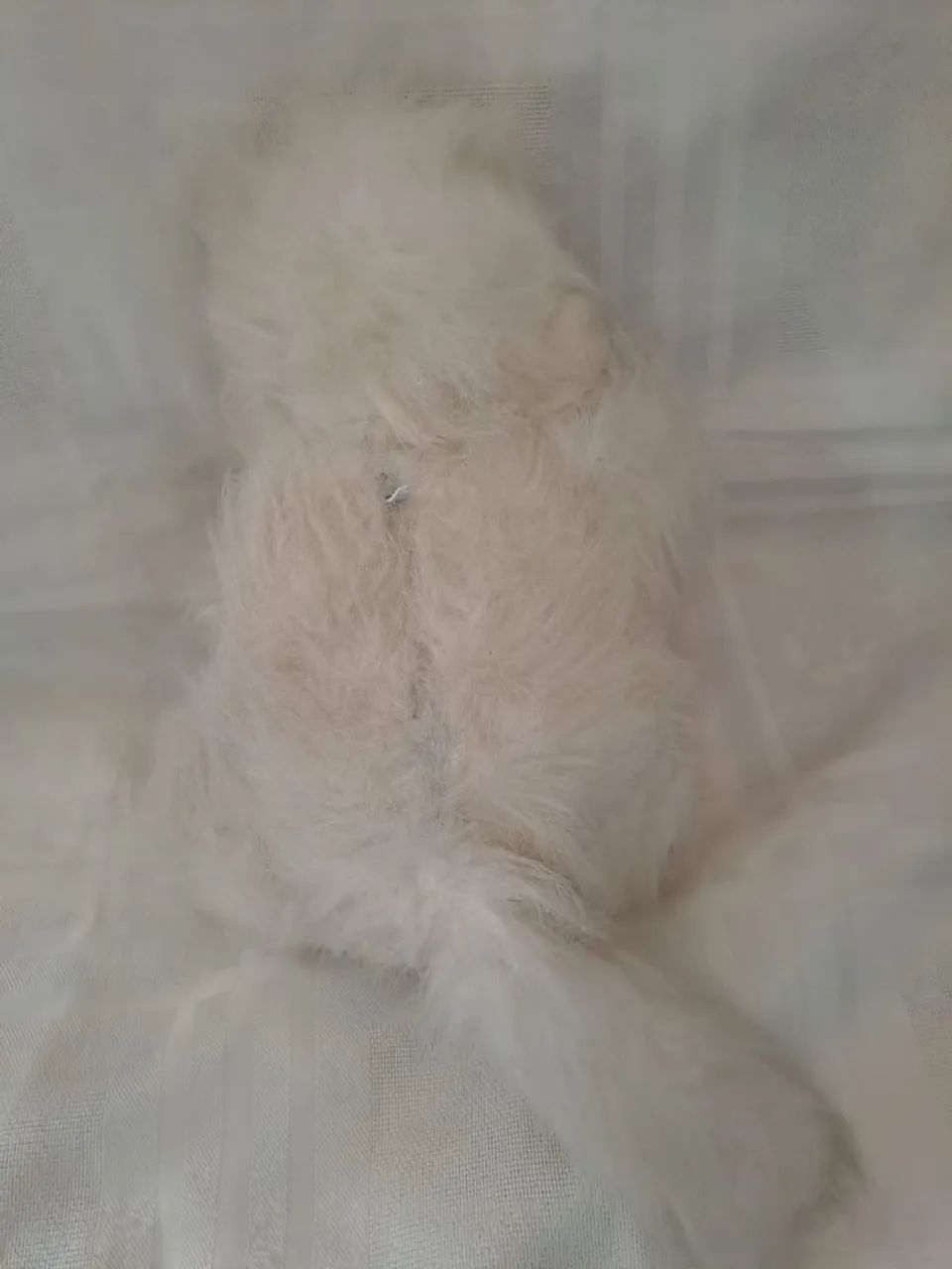 Pelúcia macaco eletrônico(não sai som)  - Foto 4