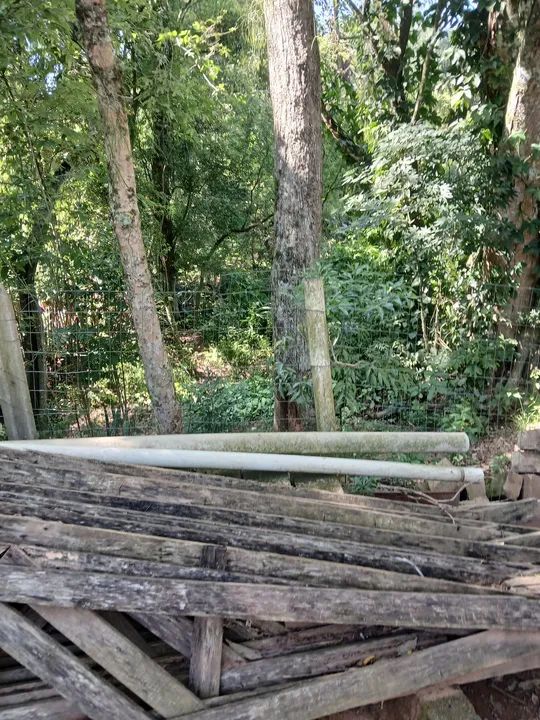 Sítio com pomar e casa sede - Foto 6