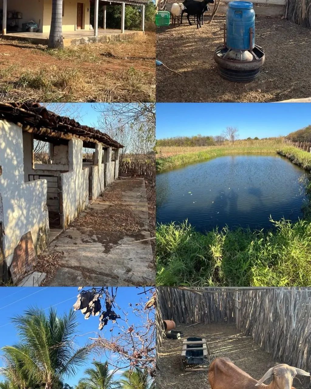 Vende-se este Sitio / Terreno / Roça em São João do Piauí - Lagoa da Serra  - Foto 2