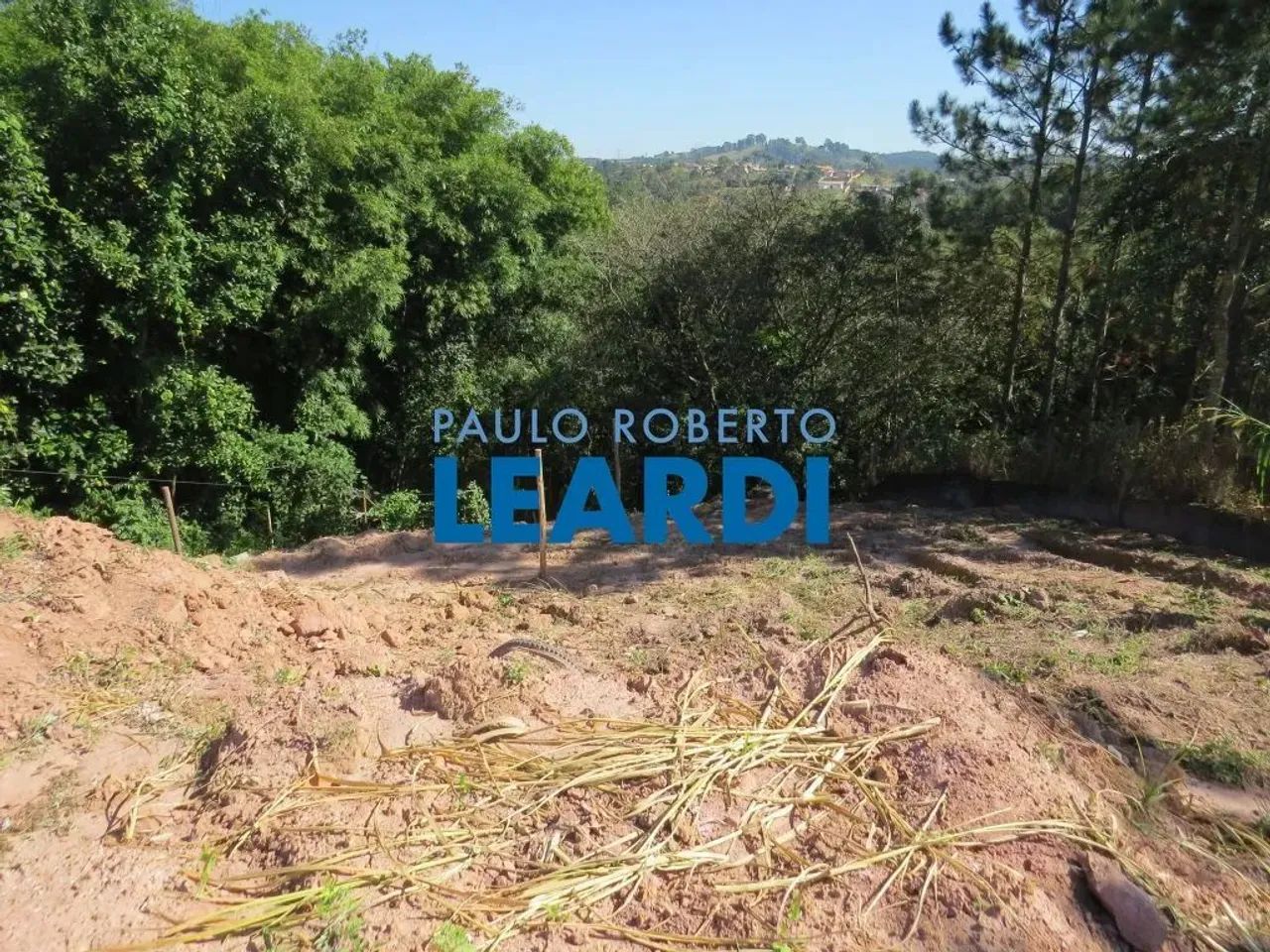 AREA - MARACANÃ - SP