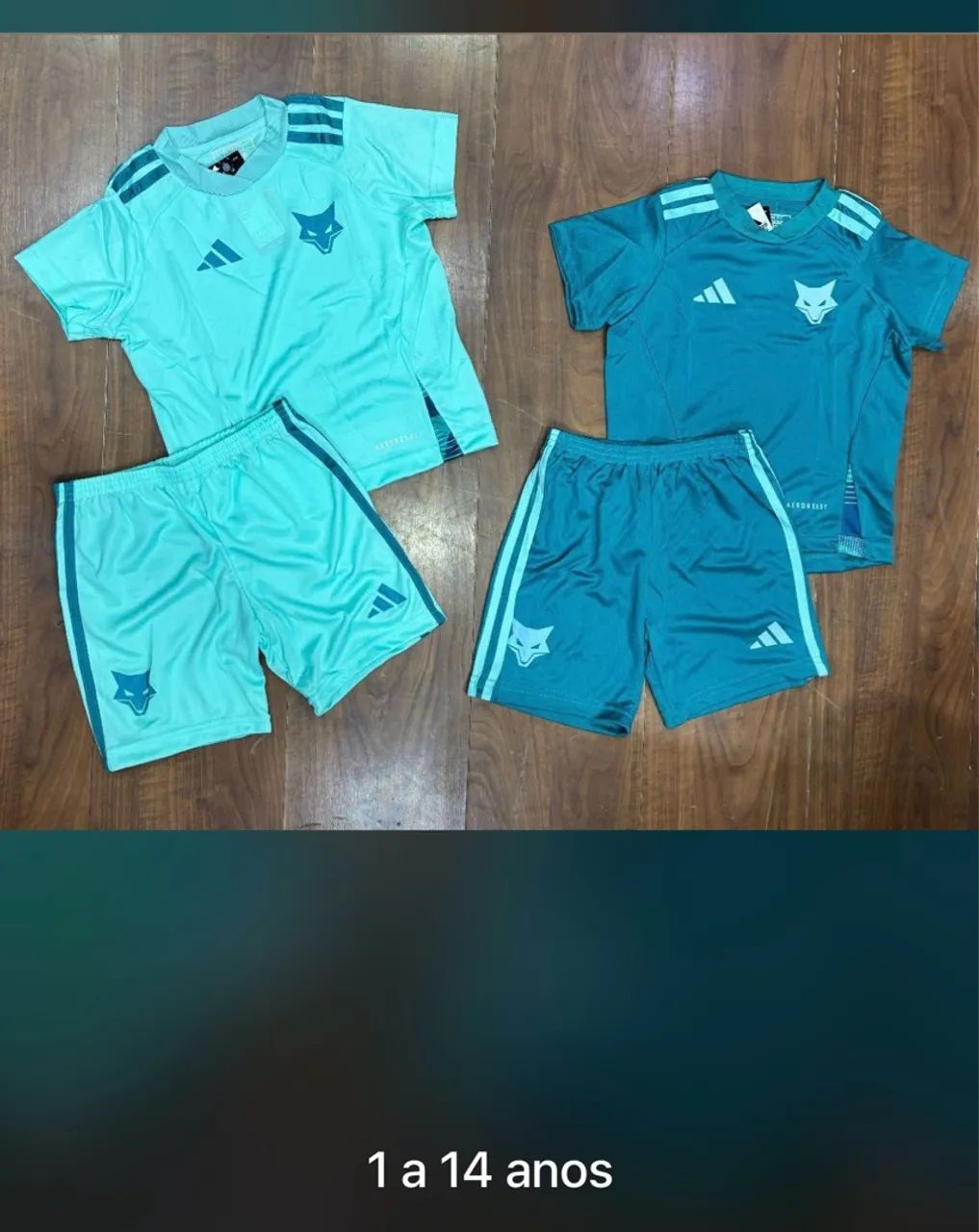 Conjunto Infantil de treino do cruzeiro