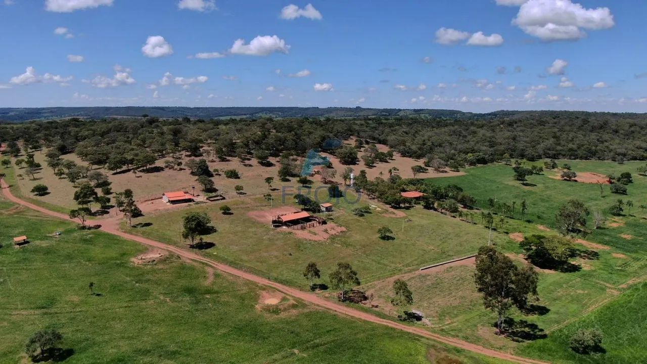 Sítio à Venda entre Bela Vista e São Miguel do Passa Quatro  GO - Foto 3