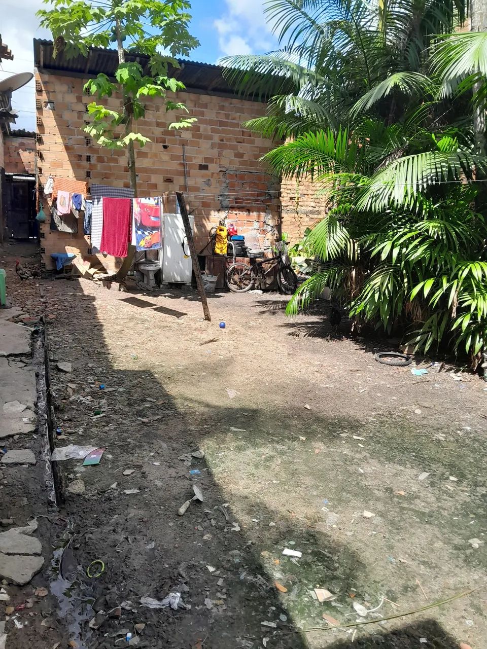 Foto - Ananindeua - Coqueiro