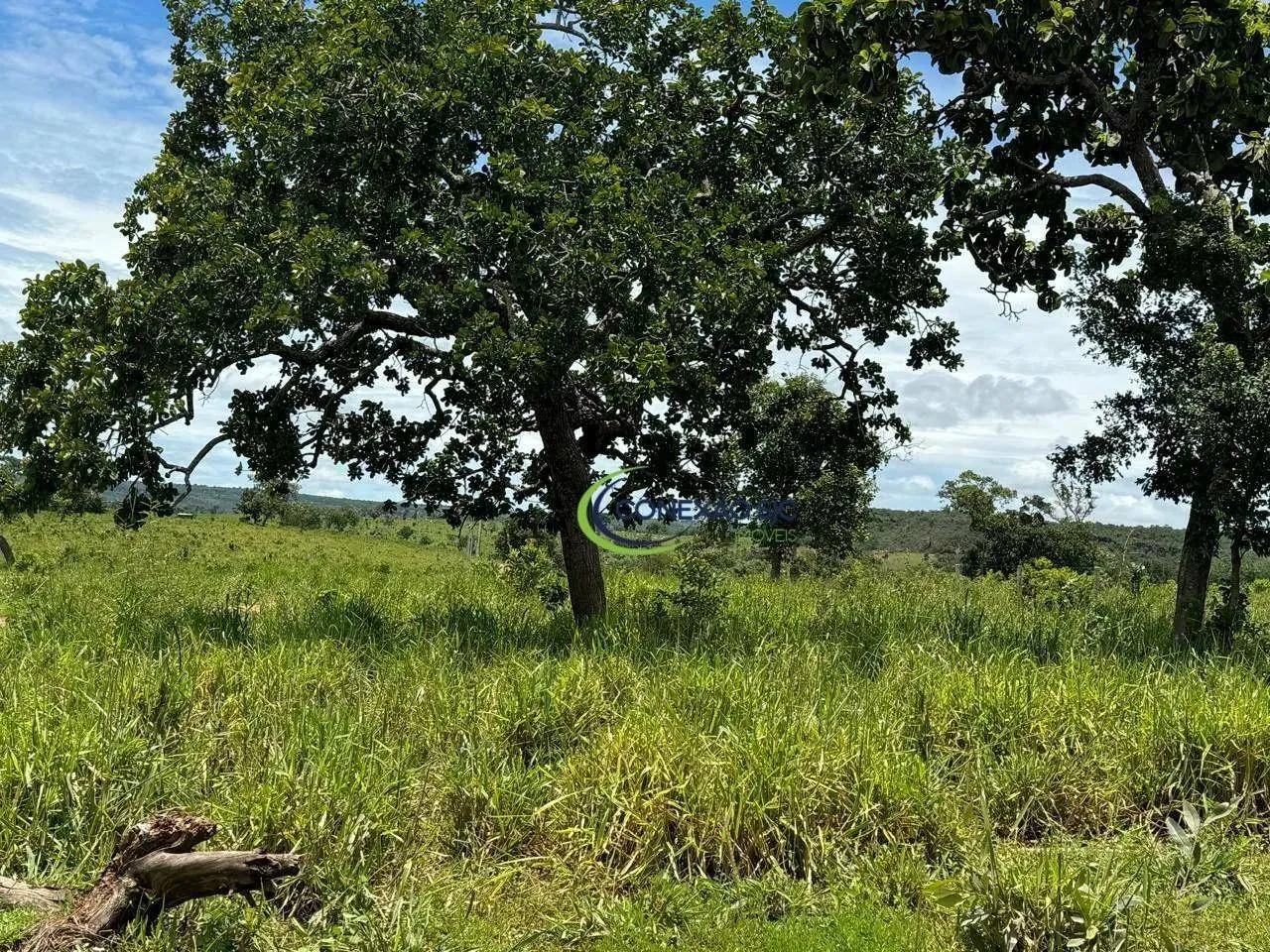 Fazenda com 3 dormitórios à venda, 19360000 m² por R$ 35.000.000 - Centro - Primavera do L