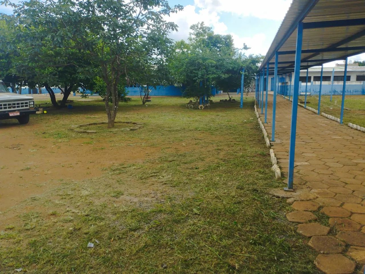 Serviços de jardinagem em geral - Foto 5