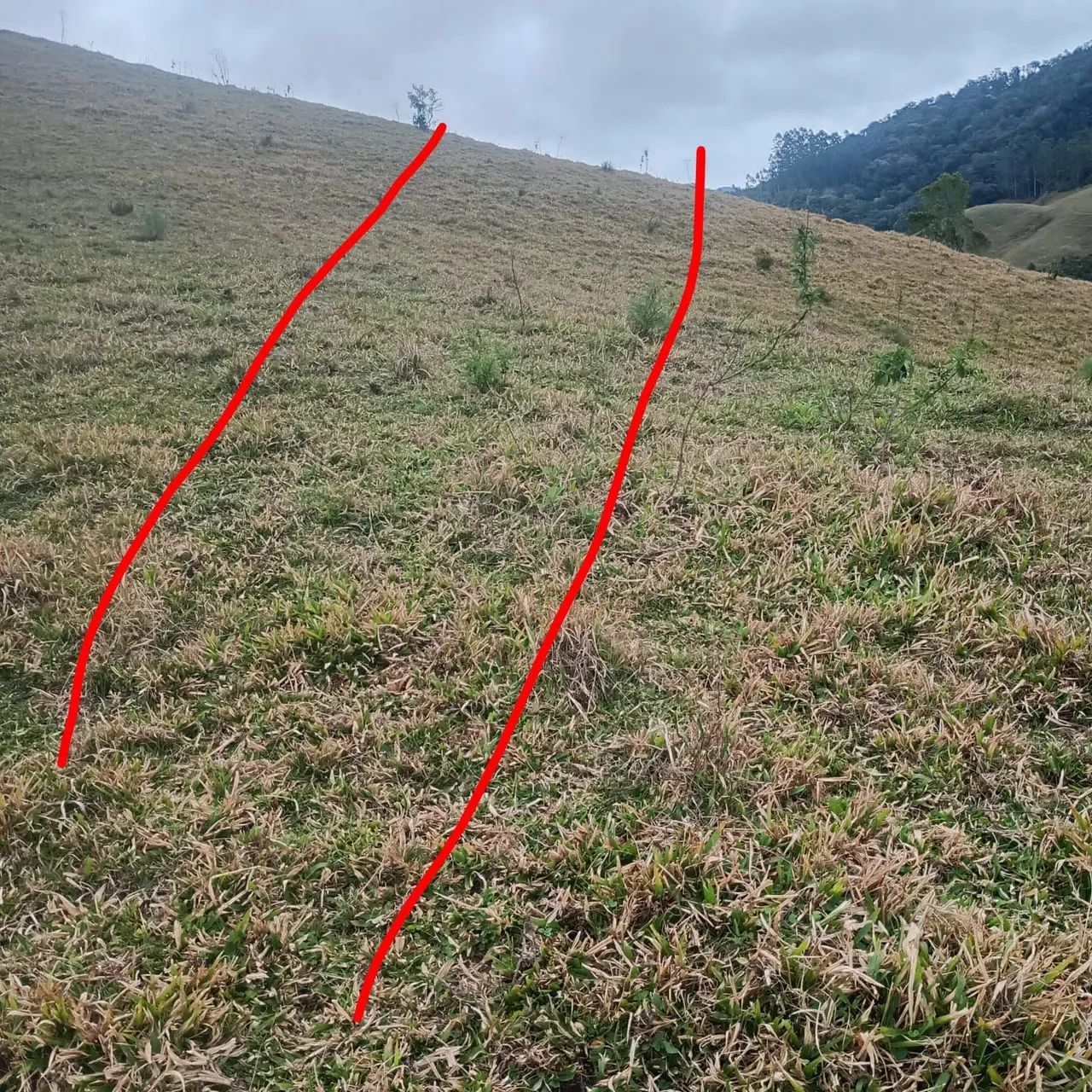 Tereno em Águas Mornas Rio Miguel  - Foto 5