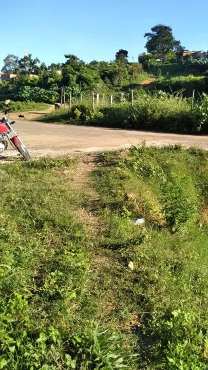 Terreno em Jardim Campo Grande - 300m² - Foto 2