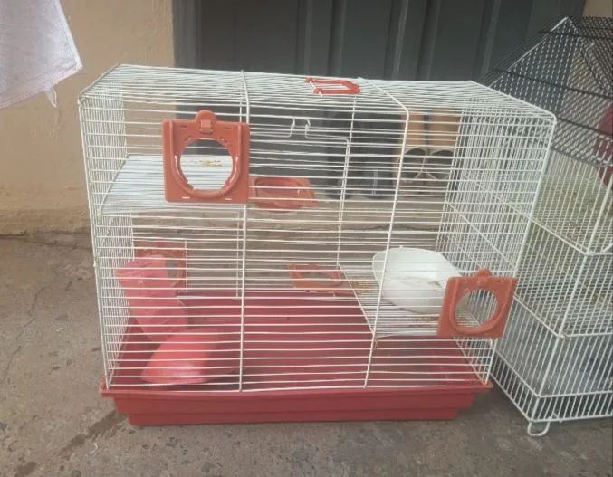 Gaiola para Roedores - Hamsters ou Camundongos