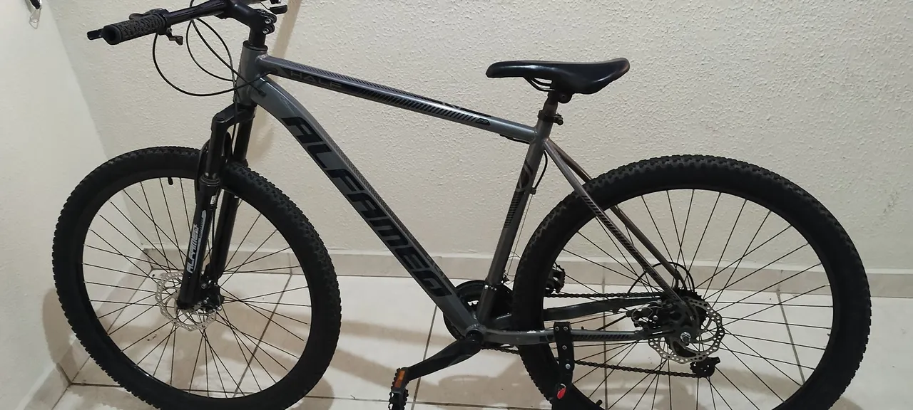 Bicicleta Aro 29