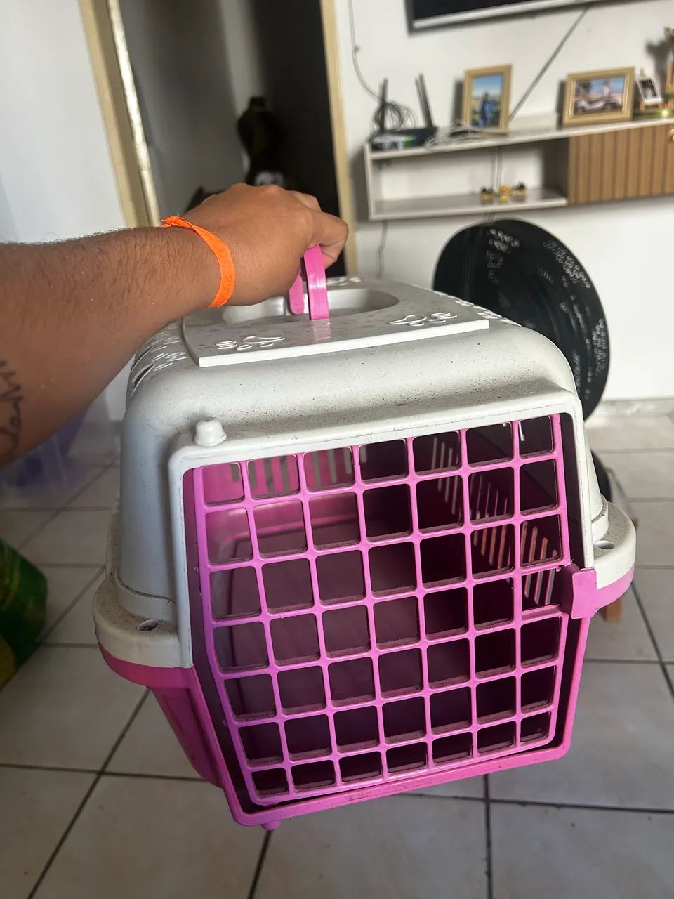 Caixa de transporte durapet 