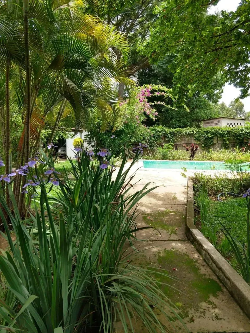 Vendo chácara de 3,7 hectares no café sem troco - Foto 2