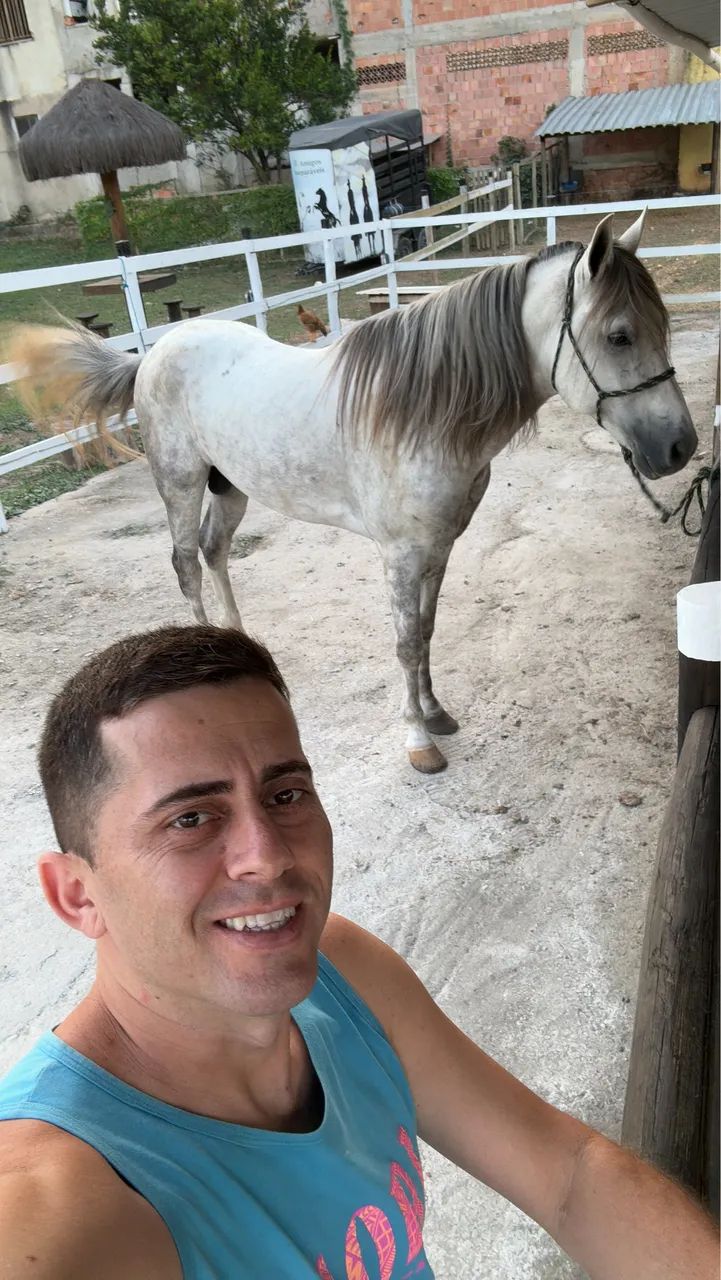 Cavalo ? 8 anos + - marcha picada  - Foto 4