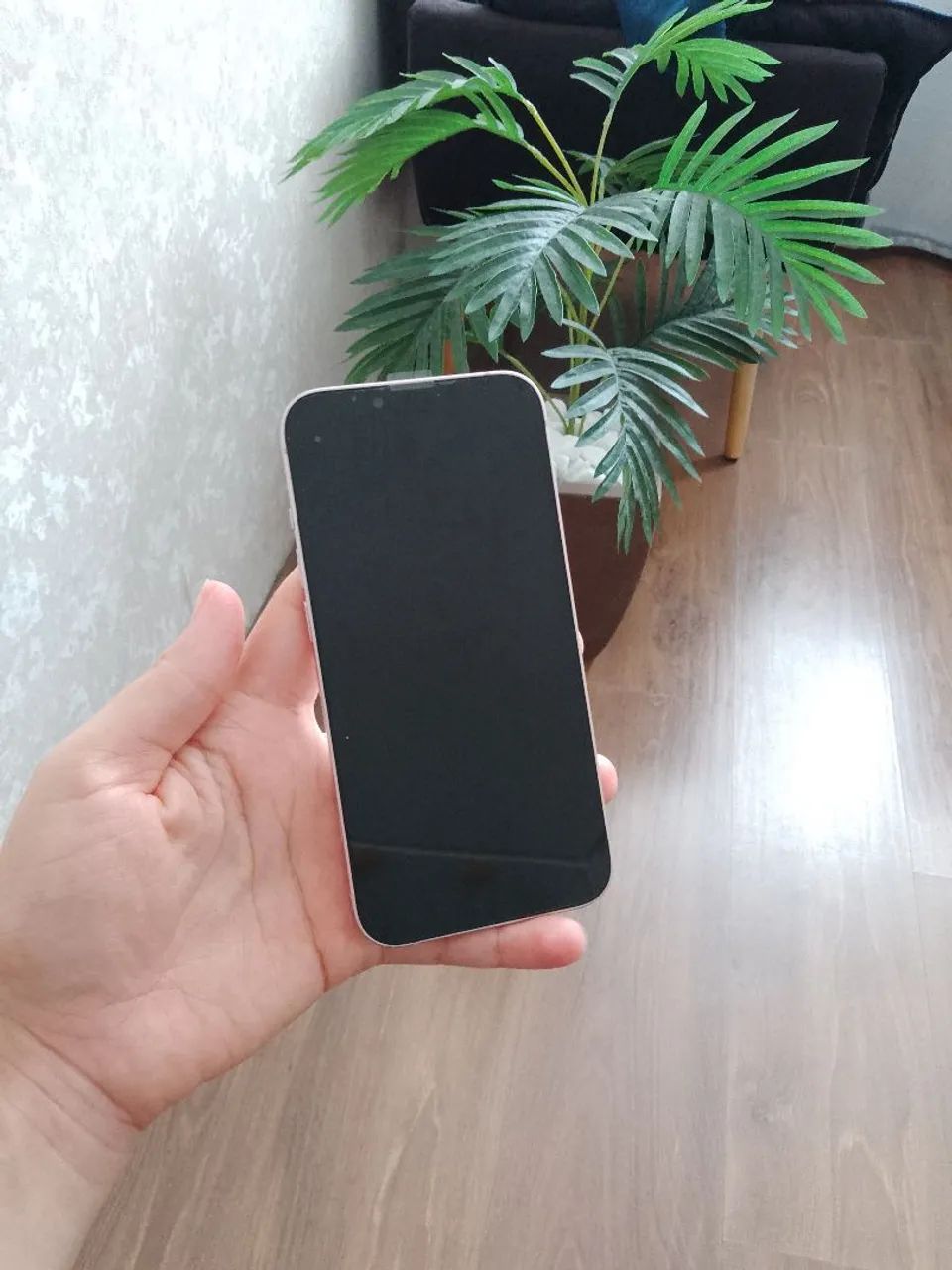 iPhone 13