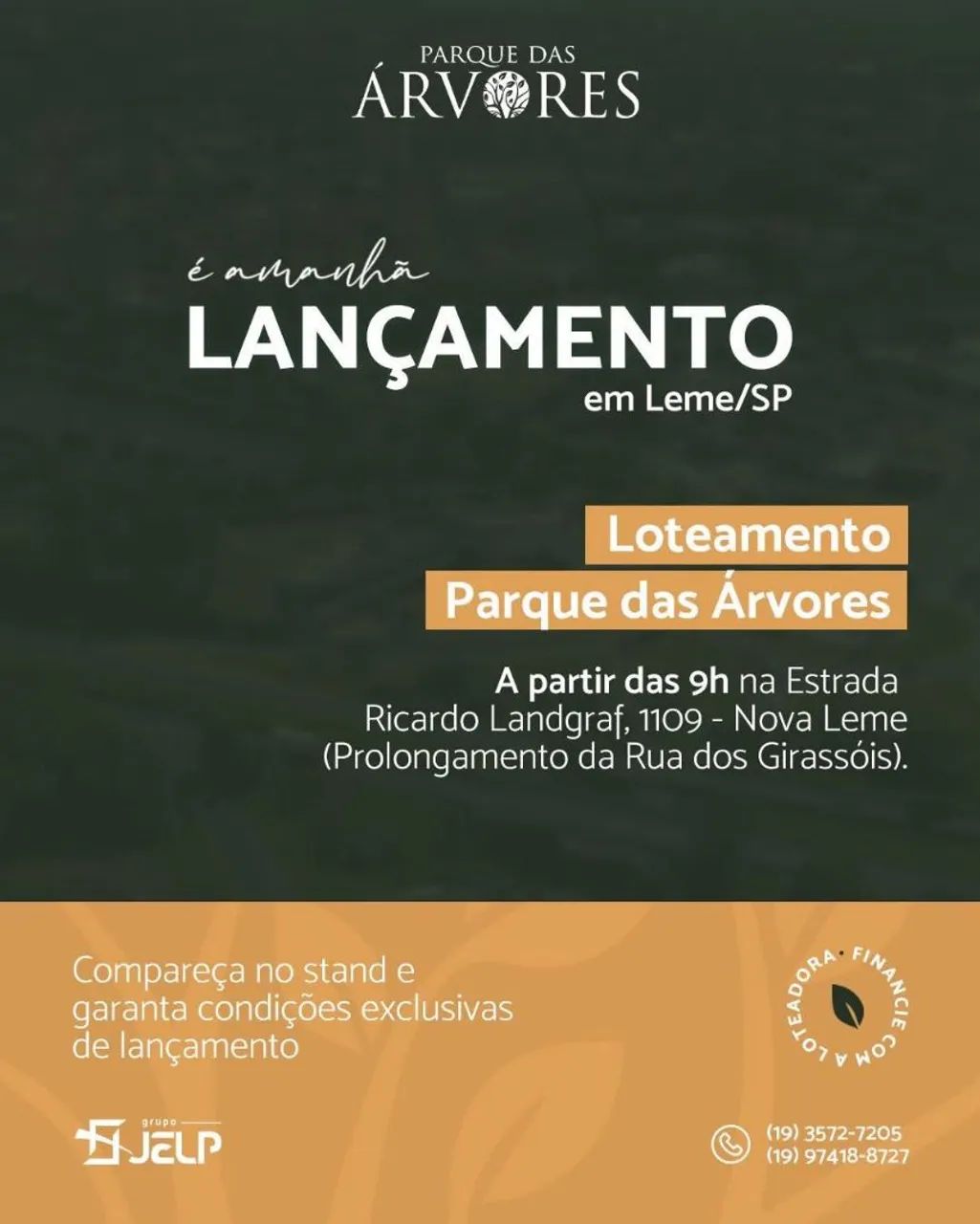 Terreno 